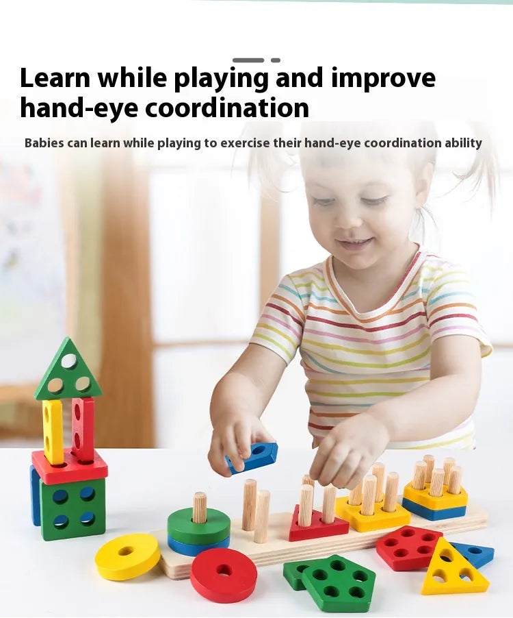 Montessori Wooden Shape Match Set